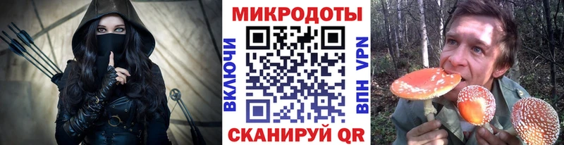 наркошоп  Олонец  Галлюциногенные грибы Cubensis 