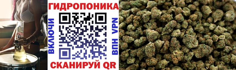 Каннабис AK-47 Олонец